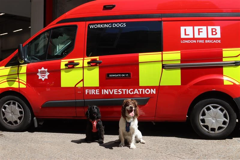 Fire investigation dogs Smokey and Simba in front of fire investigation van