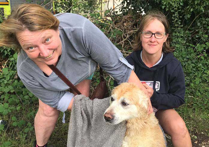 Goldie after rescue 