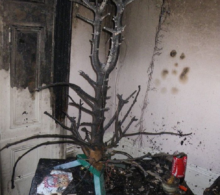 Burnt Christmas tree on top of a box inside a home