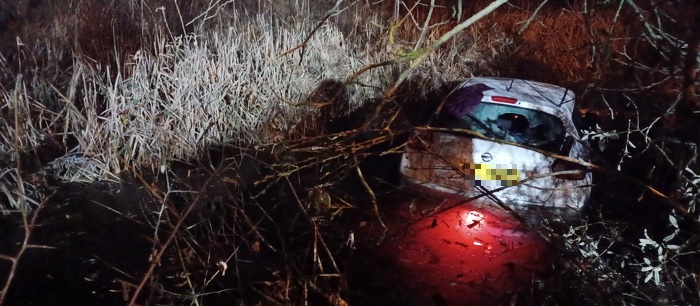 Grey car in water in a ditch at night