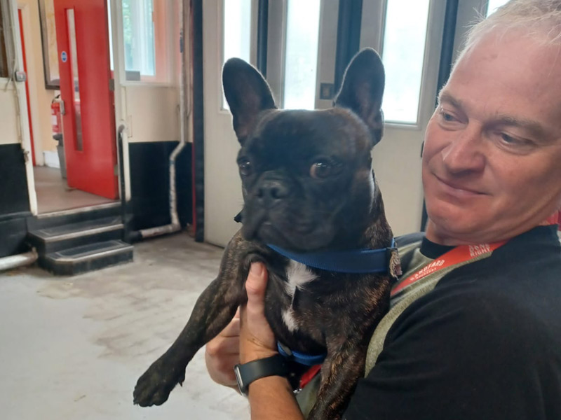 Wellbeing dog auditions London Fire Brigade